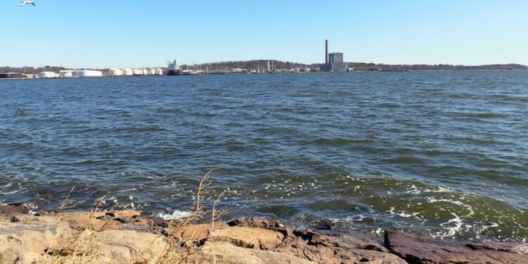A Student’s Guide to  New Haven