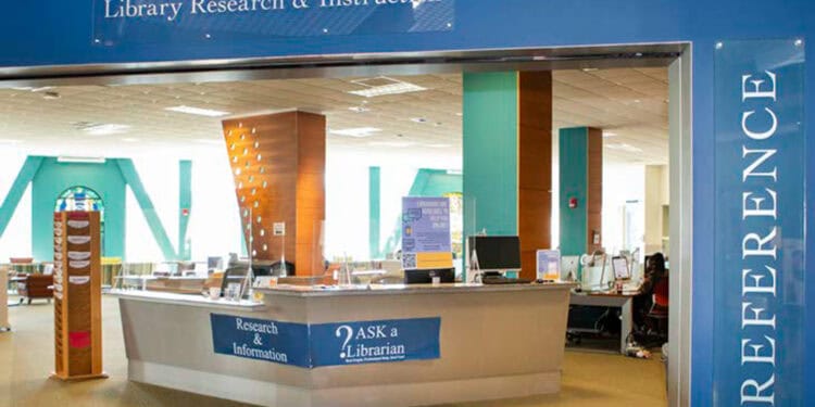 Top 5 Student Services