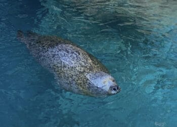 Up Close Look at Marine Biology