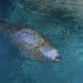 Up Close Look at Marine Biology