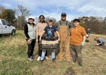 Rooted in community: Massaro Community Farms