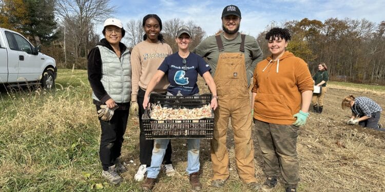 Rooted in community: Massaro Community Farms